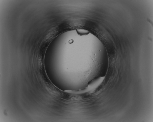X0000093440599200710121334