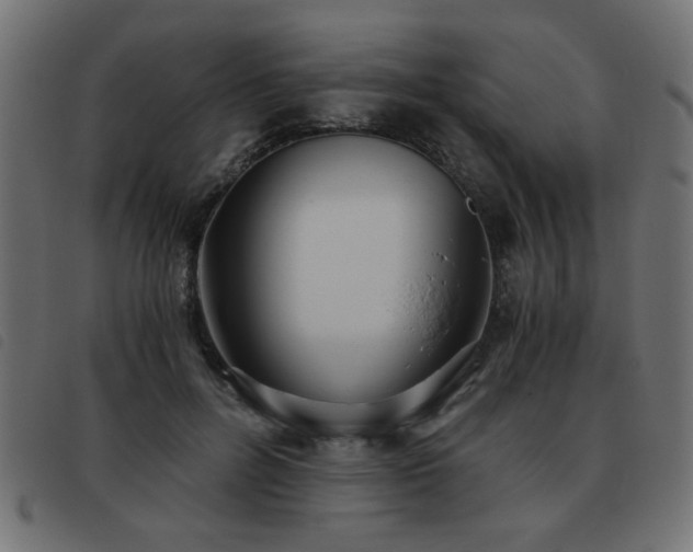 X0000093440600200710121334
