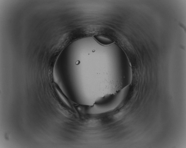 X0000093440601200710121334