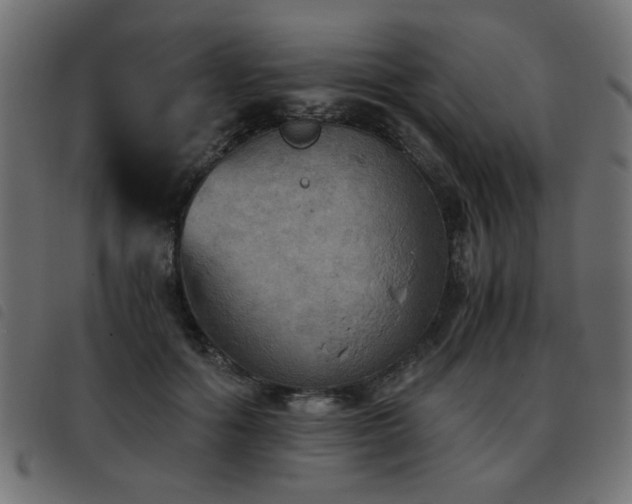 X0000093440602200710121334