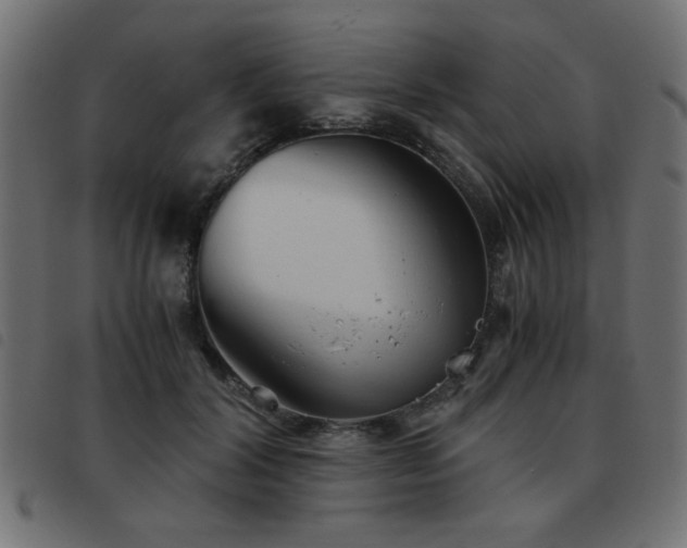 X0000093440604200710121334