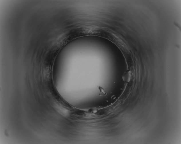 X0000093440605200710121334