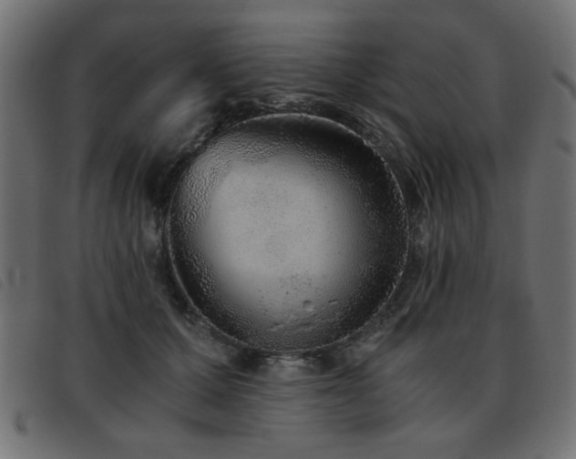 X0000093440607200710121334
