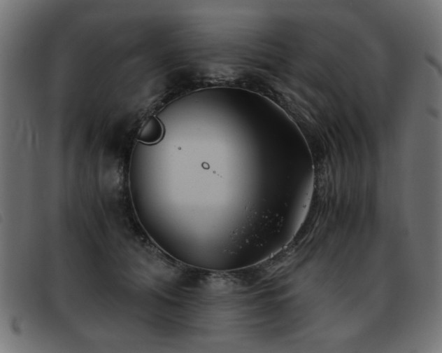 X0000093440608200710121334