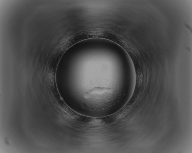 X0000093440609200710121334