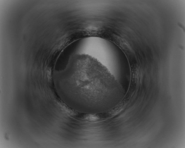 X0000093440610200710121334