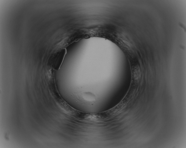 X0000093440611200710121334