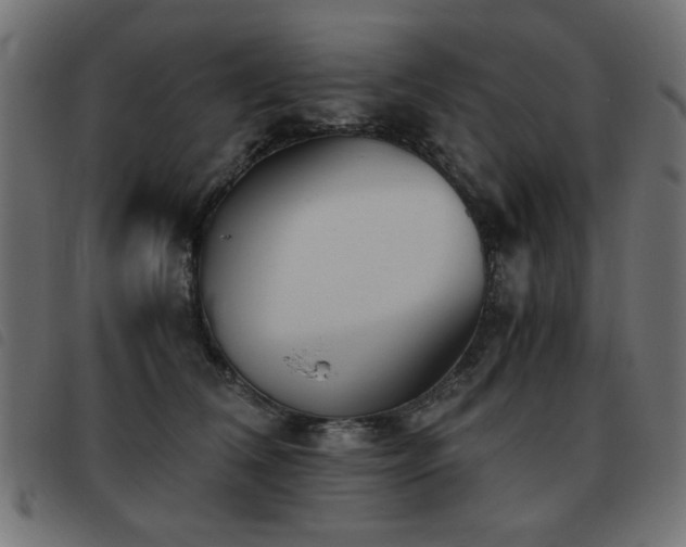 X0000093440612200710121334