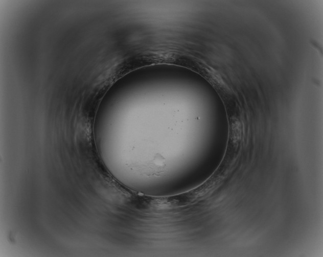 X0000093440613200710121334