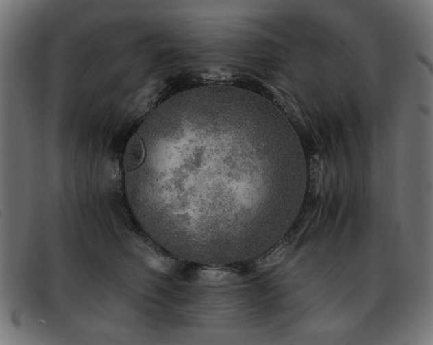 X0000093440614200710121334