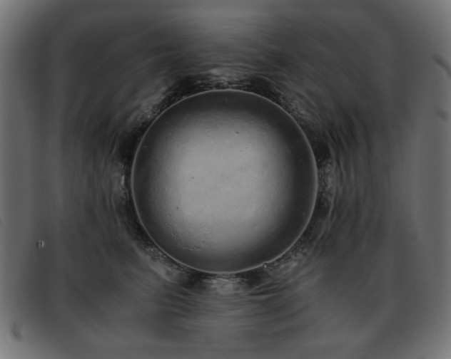 X0000093440615200710121334