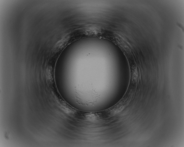 X0000093440616200710121334