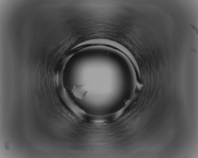 X0000093440617200710121334