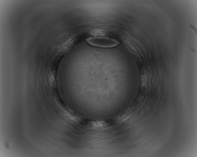 X0000093440618200710121334