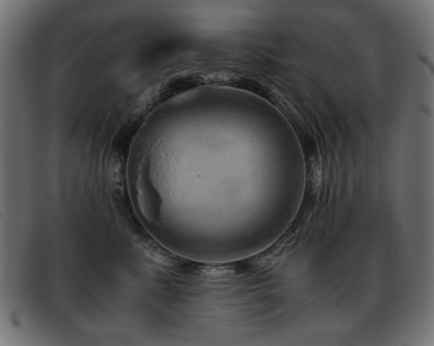 X0000093440619200710121334