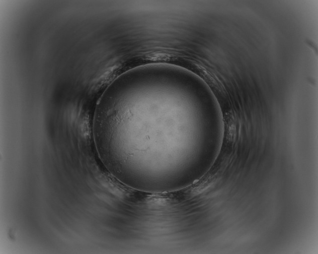 X0000093440620200710121334