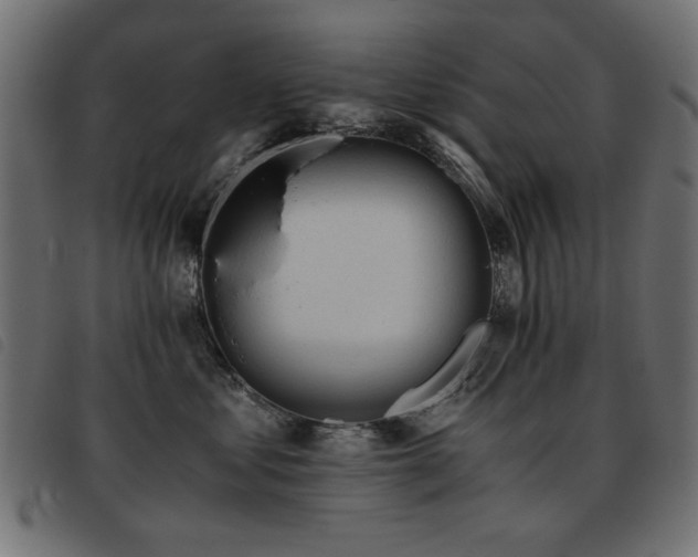 X0000093440621200710121334
