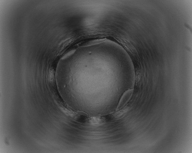 X0000093440623200710121334
