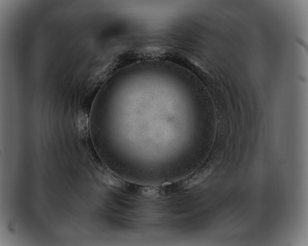 X0000093440624200710121334