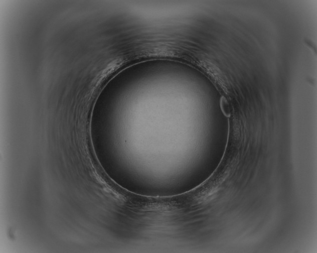 X0000093440625200710121333
