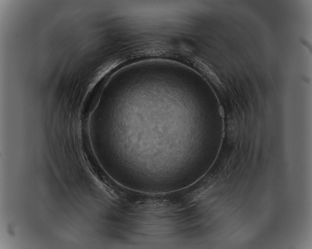 X0000093440626200710121334