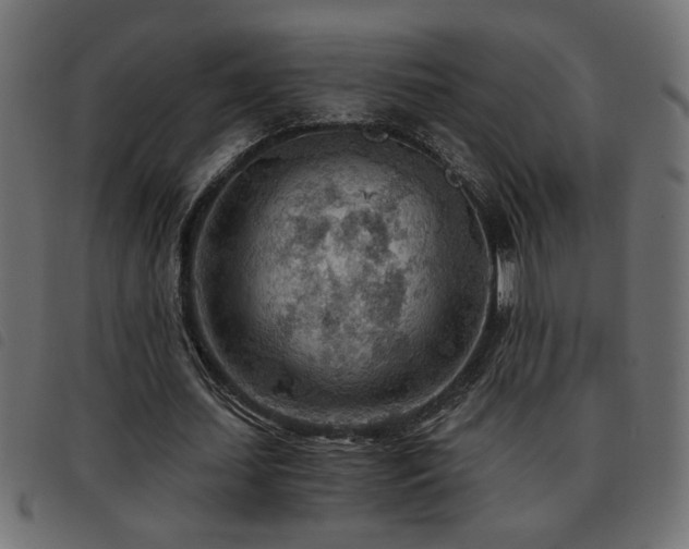 X0000093440627200710121334