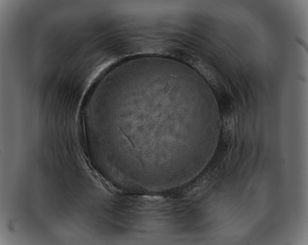 X0000093440628200710121334