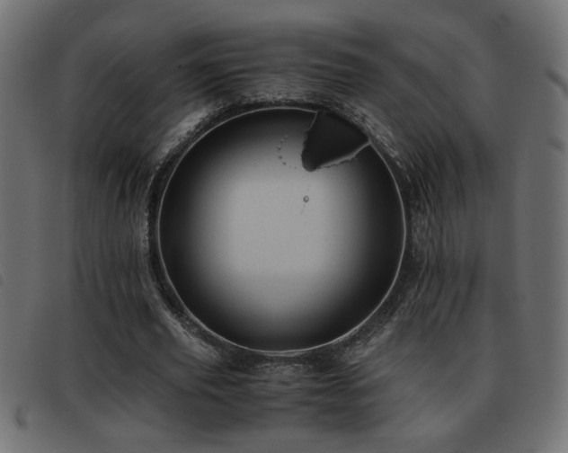 X0000093440629200710121334