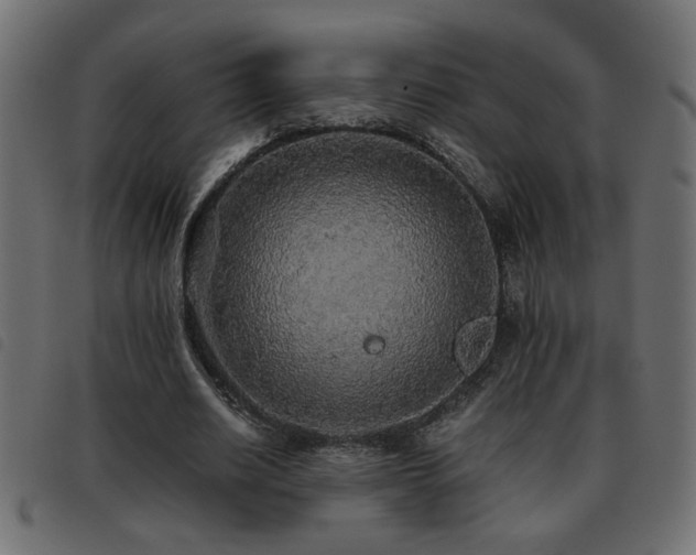 X0000093440630200710121334