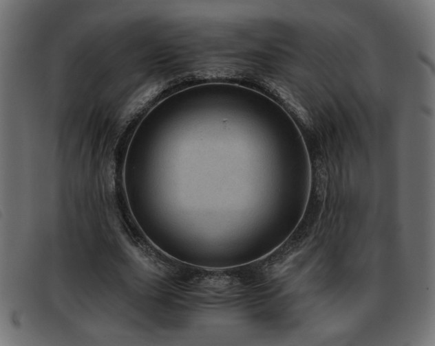 X0000093440631200710121334