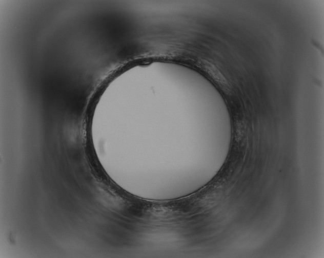 X0000093440632200710121334