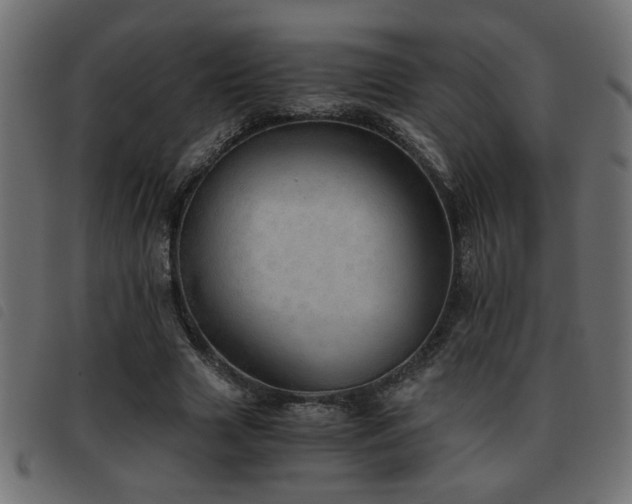 X0000093440633200710121334
