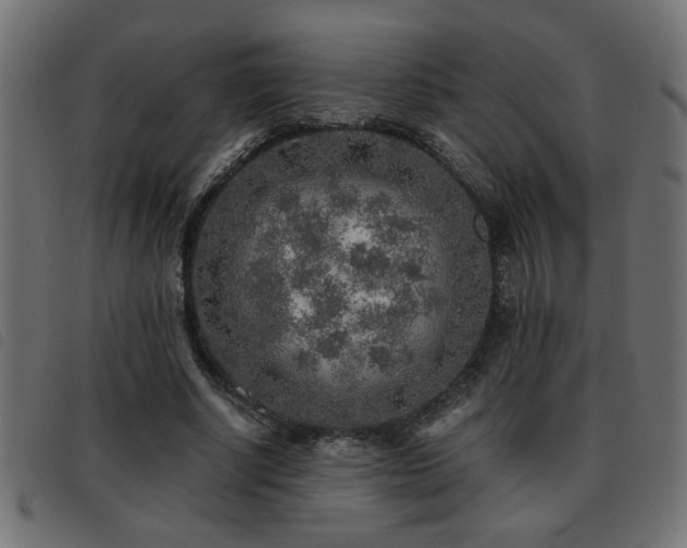 X0000093440634200710121334
