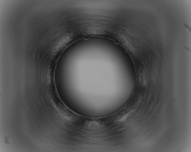 X0000093440635200710121334