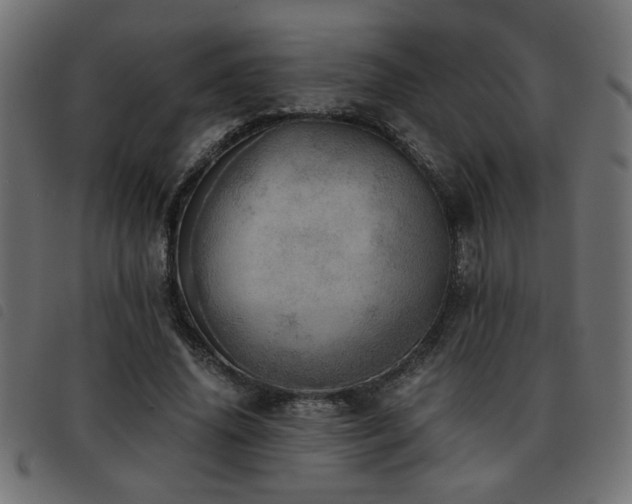 X0000093440636200710121334