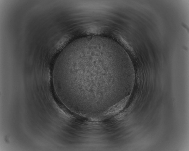 X0000093440637200710121334