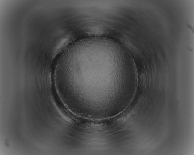 X0000093440638200710121334