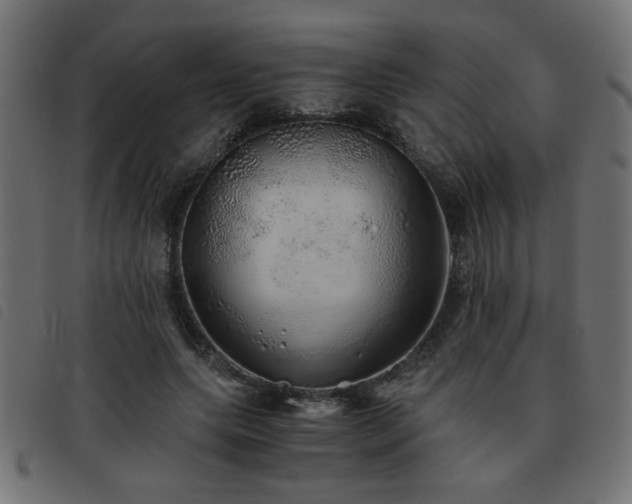 X0000093440639200710121334