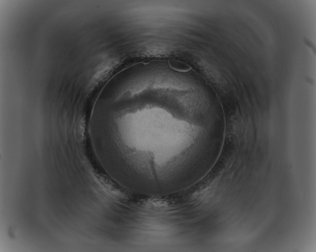 X0000093440640200710121334