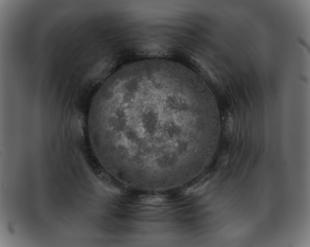 X0000093440643200710121334