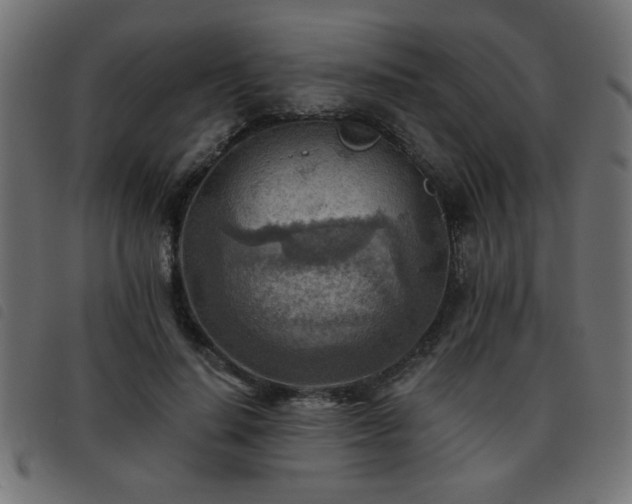 X0000093440644200710121334