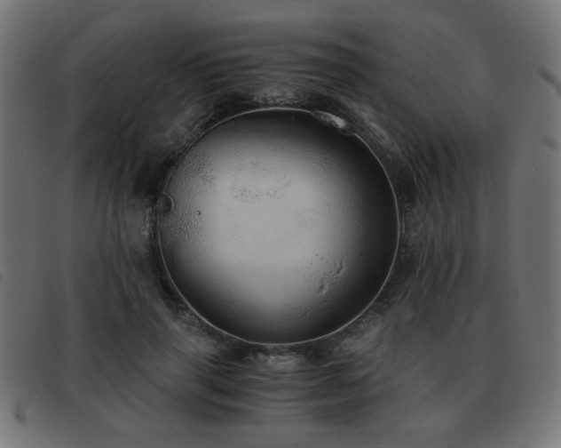 X0000093440645200710121334