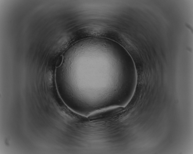 X0000093440646200710121334