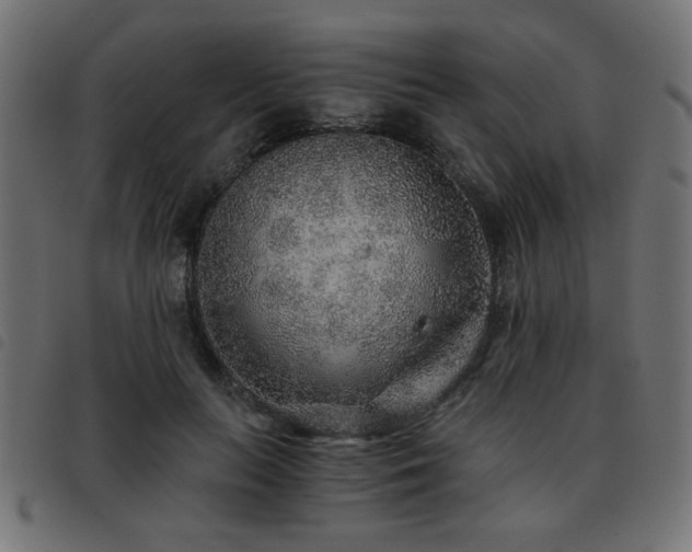 X0000093440647200710121334