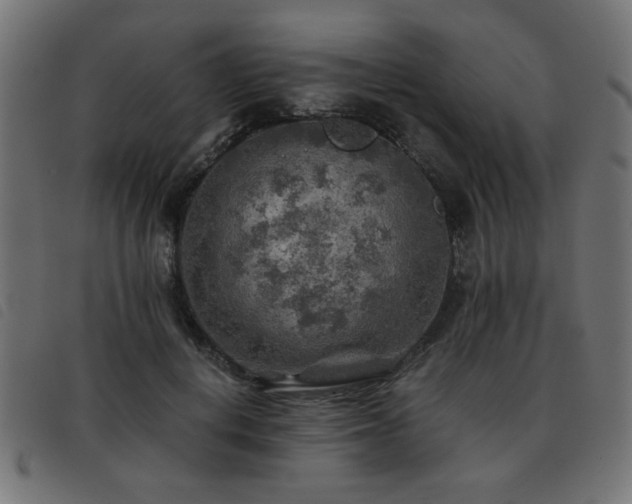 X0000093440648200710121334