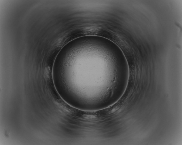 X0000093440649200710121334