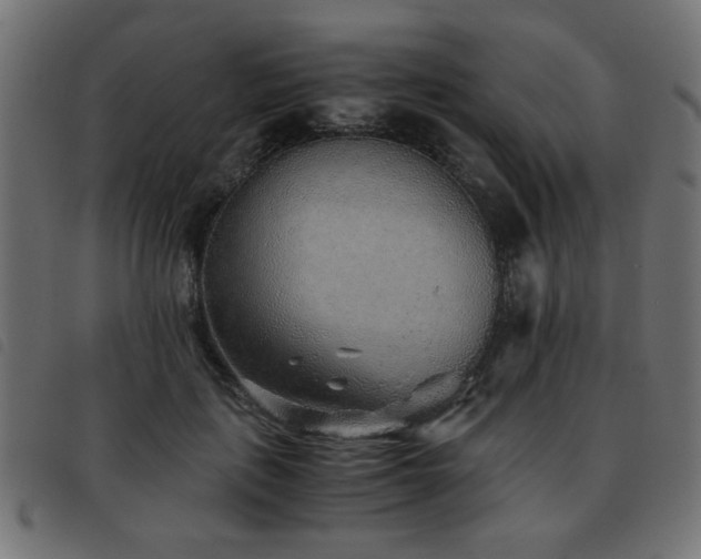 X0000093440651200710121334