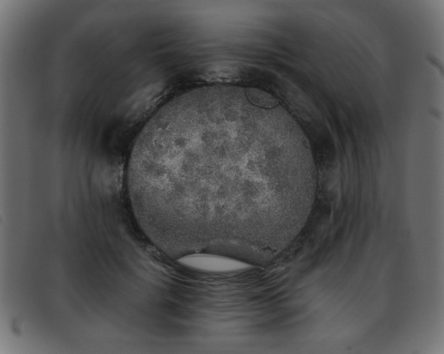 X0000093440652200710121334