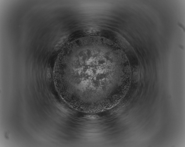 X0000093440654200710121334