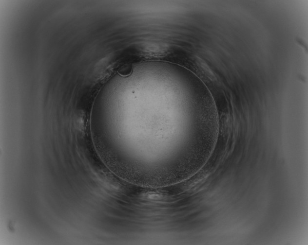 X0000093440655200710121334